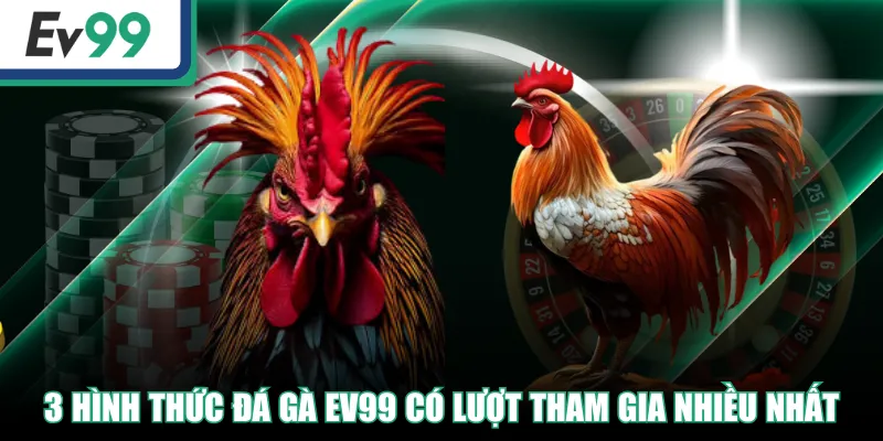 3 hình thức Đá Gà EV99 có lượt tham gia nhiều nhất