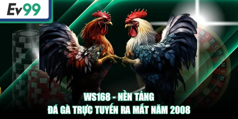 WS168 - Nền tảng đá gà trực tuyến ra mắt năm 2008